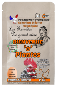 bienvenue'o'plantes